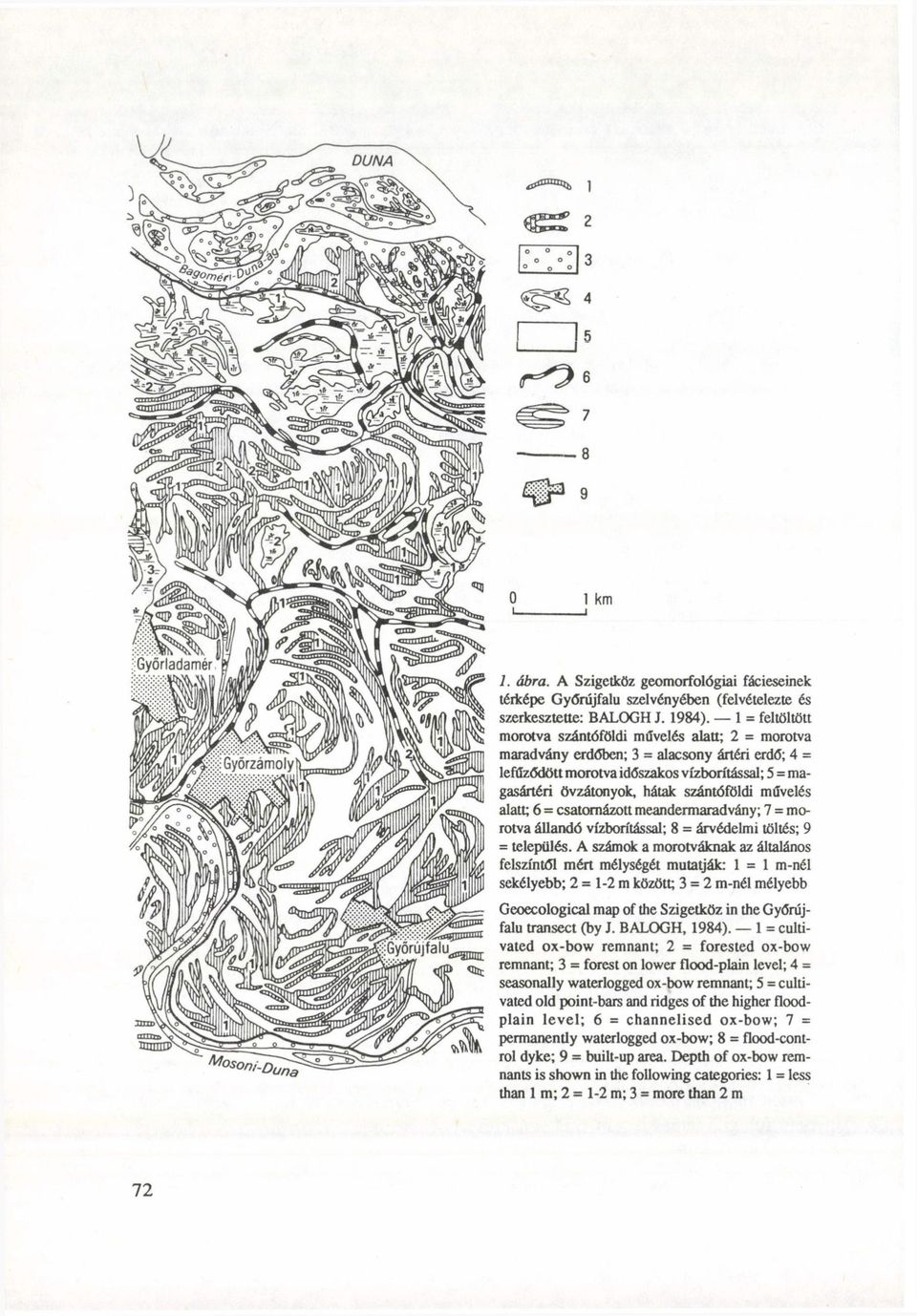 szántóföldi művelés alatt; 6 = csatornázott meandermaradvány; 7 = morotva állandó vízborítással; 8 = árvédelmi töltés; 9 = település.