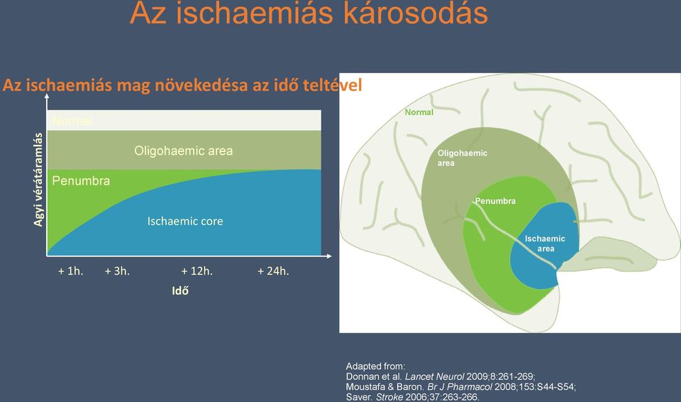 + 12h. + 24h. Idő Penumbra Ischaemic area Adapted from: Donnan et al.