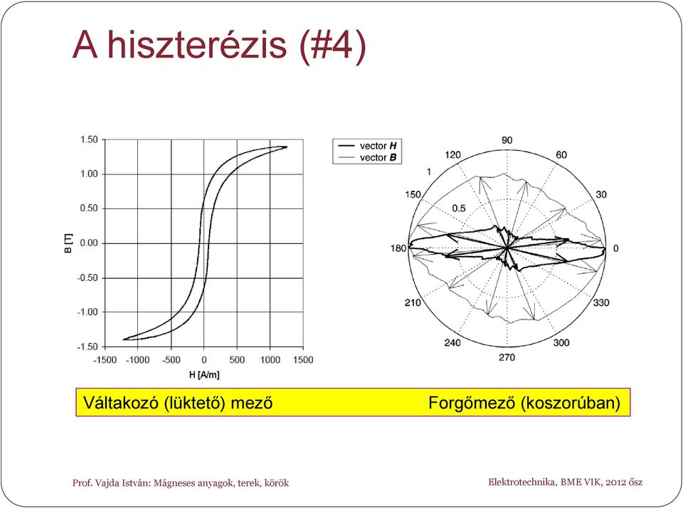 (lüktető) mező