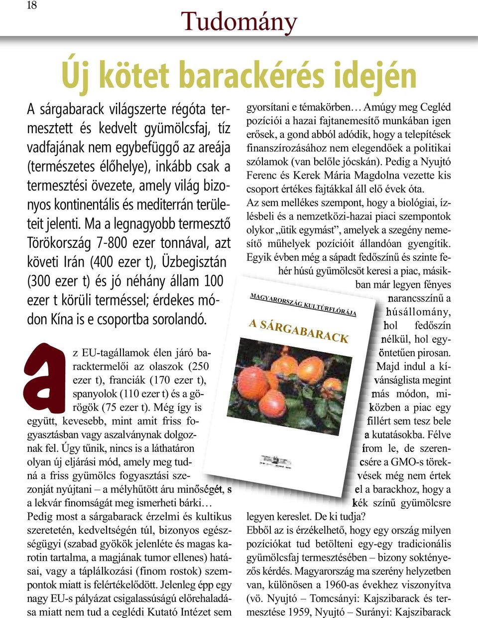 Ma a legnagyobb termesztő Törökország 7-800 ezer tonnával, azt követi Irán (400 ezer t), Üzbegisztán (300 ezer t) és jó néhány állam 100 ezer t körüli terméssel; érdekes módon Kína is e csoportba