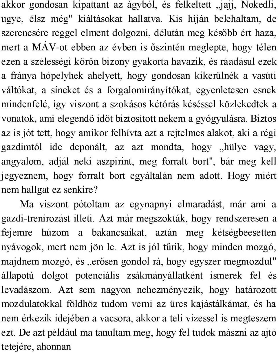 havazik, és ráadásul ezek a fránya hópelyhek ahelyett, hogy gondosan kikerülnék a vasúti váltókat, a síneket és a forgalomirányítókat, egyenletesen esnek mindenfelé, így viszont a szokásos kétórás