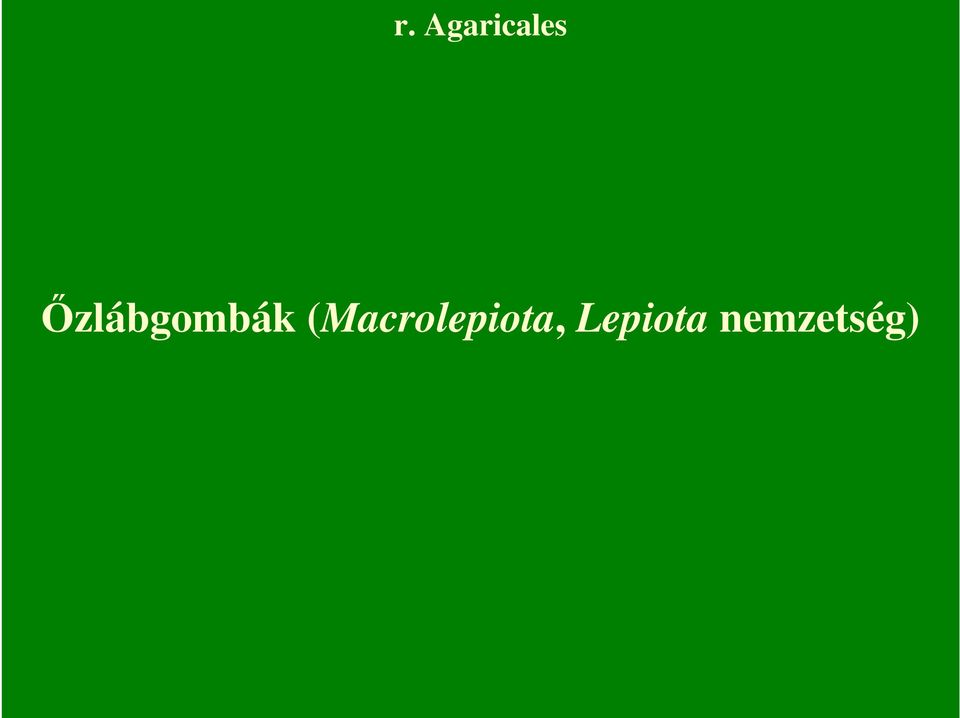 (Macrolepiota,