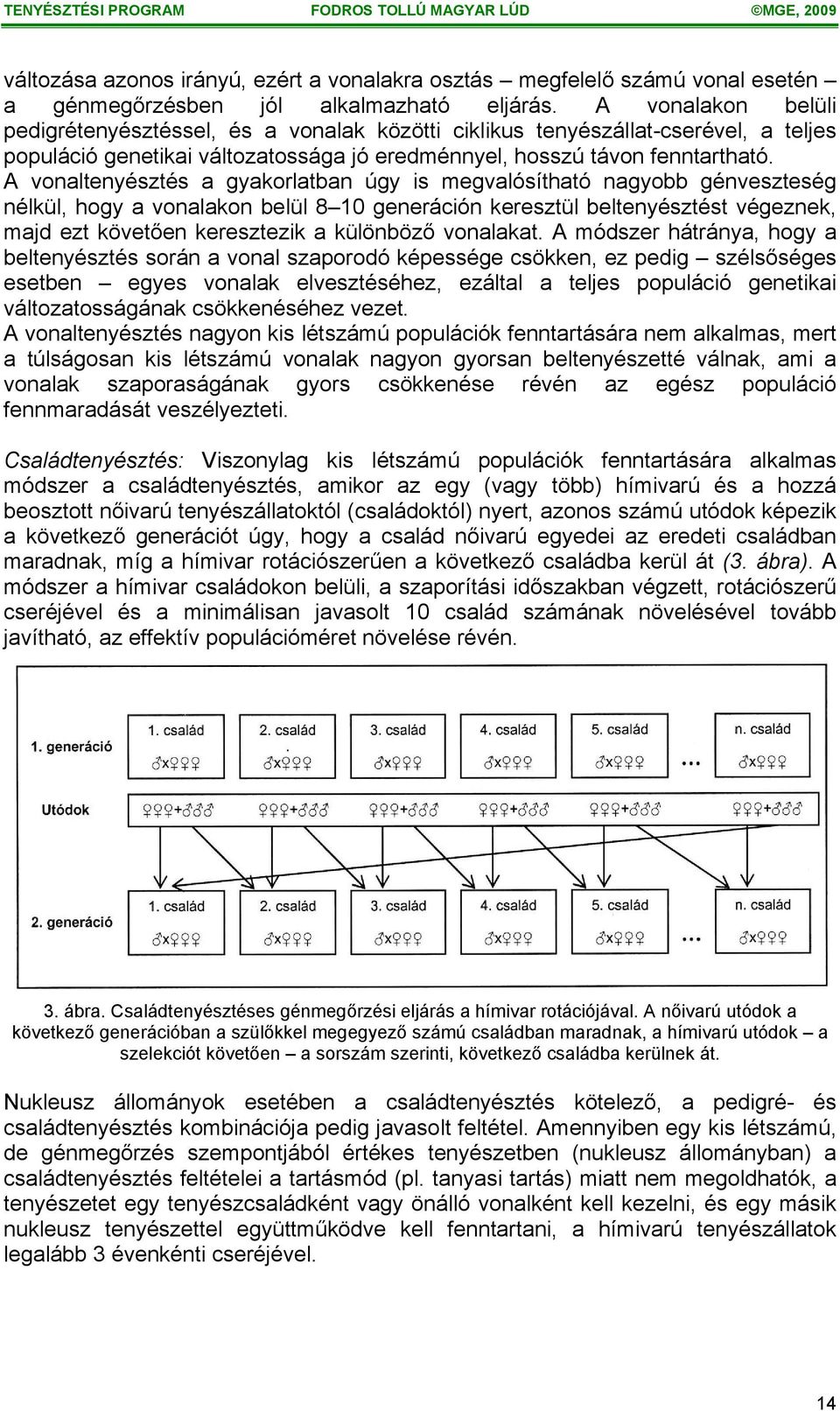 A vonaltenyésztés a gyakorlatban úgy is megvalósítható nagyobb génveszteség nélkül, hogy a vonalakon belül 8 10 generáción keresztül beltenyésztést végeznek, majd ezt követően keresztezik a különböző