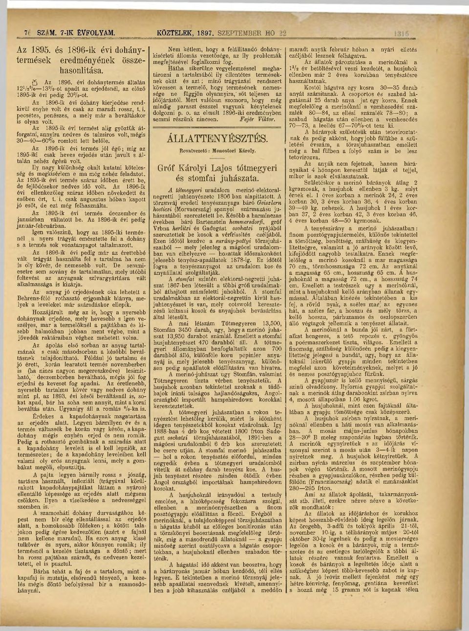 pecsétes, penészes, a mely már a beváltáskor is olyan volt. Az 1895-ik évi :termést alig győztük átforgatni, annyira nedves és tulzsiros volt, mégis 30 40 60% romlott lett belőle.