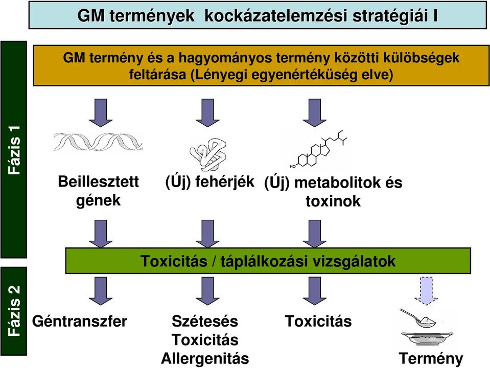 Fázis 1 Beillesztett gének (Új) fehérjék (Új) metabolitok és toxinok Toxicitás /