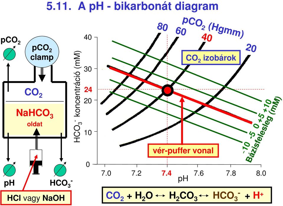 (Hgmm) 80 60 40 20 CO 2 izobárok vérpuffer vonal 10 5 0 5 10