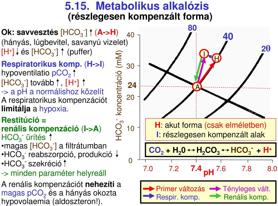 Restitúció = renális kompenzáció (I>A) ürítés magas [ ] a filtrátumban reabszorpció, produkció szekréció > minden paraméter helyreáll A renális kompenzációt nehezíti a magas pco 2 és a