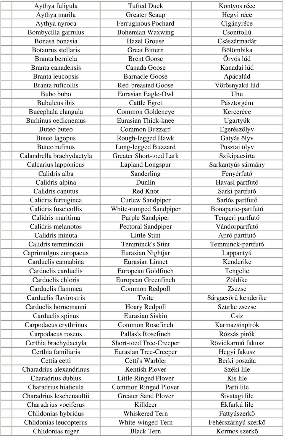 ruficollis Red-breasted Goose Vörösnyakú lúd Bubo bubo Eurasian Eagle-Owl Uhu Bubulcus ibis Cattle Egret Pásztorgém Bucephala clangula Common Goldeneye Kerceréce Burhinus oedicnemus Eurasian