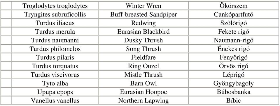 Song Thrush Énekes rigó Turdus pilaris Fieldfare Fenyõrigó Turdus torquatus Ring Ouzel Örvös rigó Turdus viscivorus Mistle