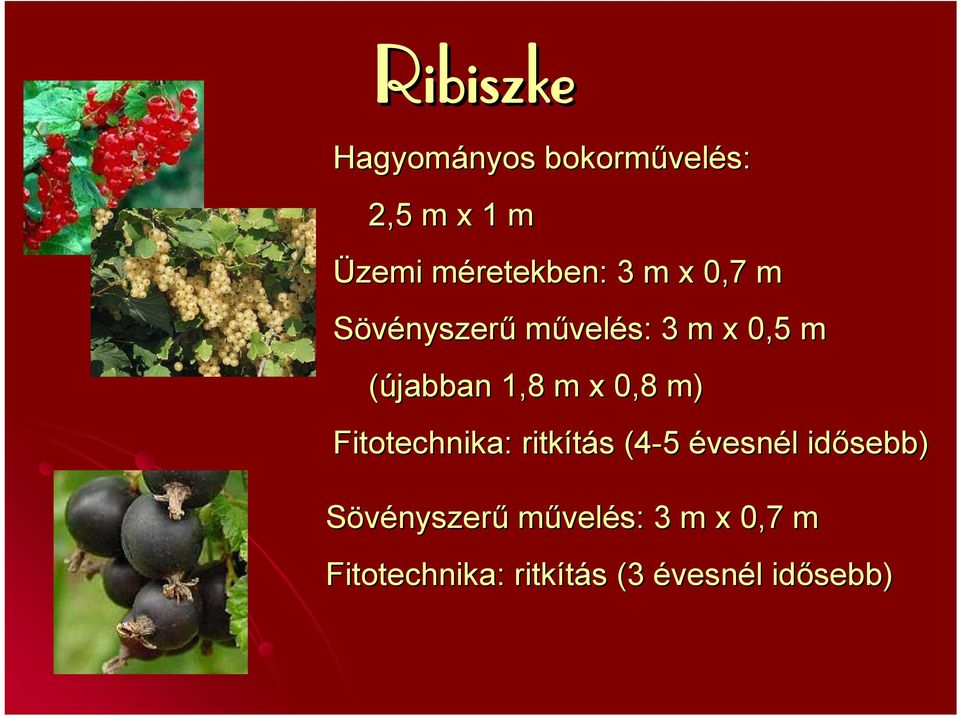 0,8 m) Fitotechnika: : ritkítás (4-5 5 évesnél idősebb)