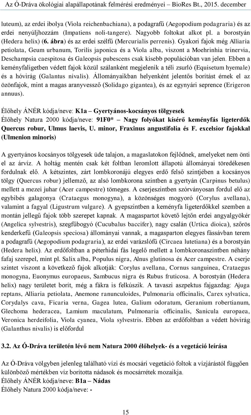 Gyakori fajok még Alliaria petiolata, Geum urbanum, Torilis japonica és a Viola alba, viszont a Moehrinhia trinervia, Deschampsia caespitosa és Galeopsis pubescens csak kisebb populációban van jelen.