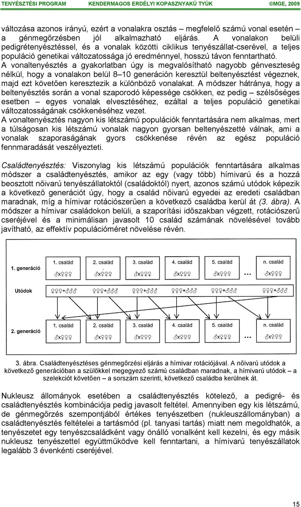 A vonaltenyésztés a gyakorlatban úgy is megvalósítható nagyobb génveszteség nélkül, hogy a vonalakon belül 8 10 generáción keresztül beltenyésztést végeznek, majd ezt követően keresztezik a különböző