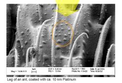 1 nm 1 nm d min sin α n λ d = 2 sin θ After Glusker & Trueblood, Crystal Structure Analysis: A Primer, Oxford Univ. Press, New York, 1972, p. 137, Fig.