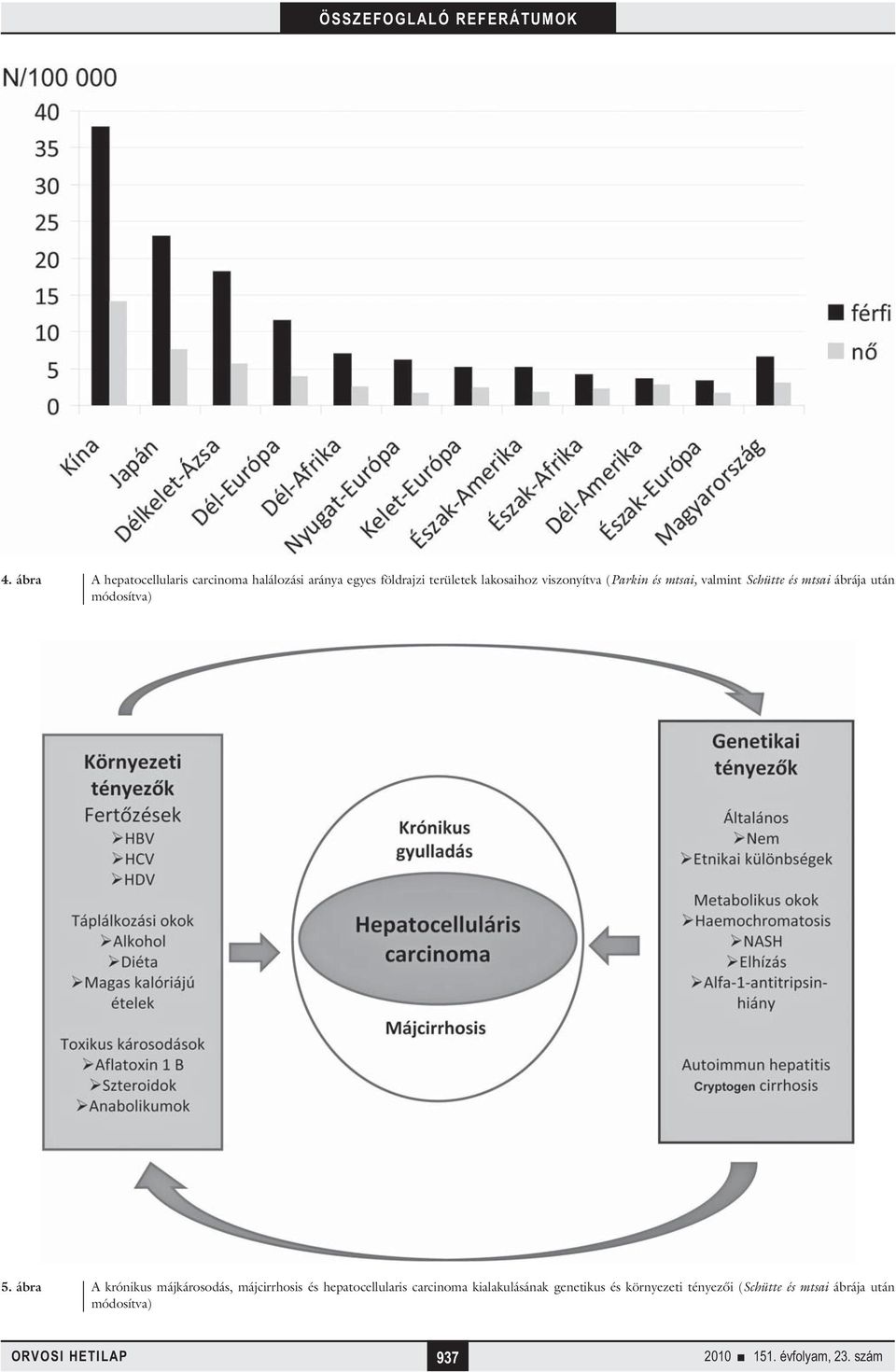 ábra A krónikus májkárosodás, májcirrhosis és hepatocellularis carcinoma kialakulásának