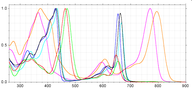 való alkalmazkodás Ellenőrző kérdések: 1. A fotoszintézis főbb evolúciós állomásai 2. A fotoszintézis evolúciós jelentősége 3.