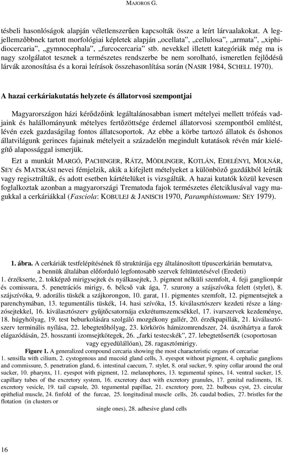 nevekkel illetett kategóriák még ma is nagy szolgálatot tesznek a természetes rendszerbe be nem sorolható, ismeretlen fejlıdéső lárvák azonosítása és a korai leírások összehasonlítása során (NASIR