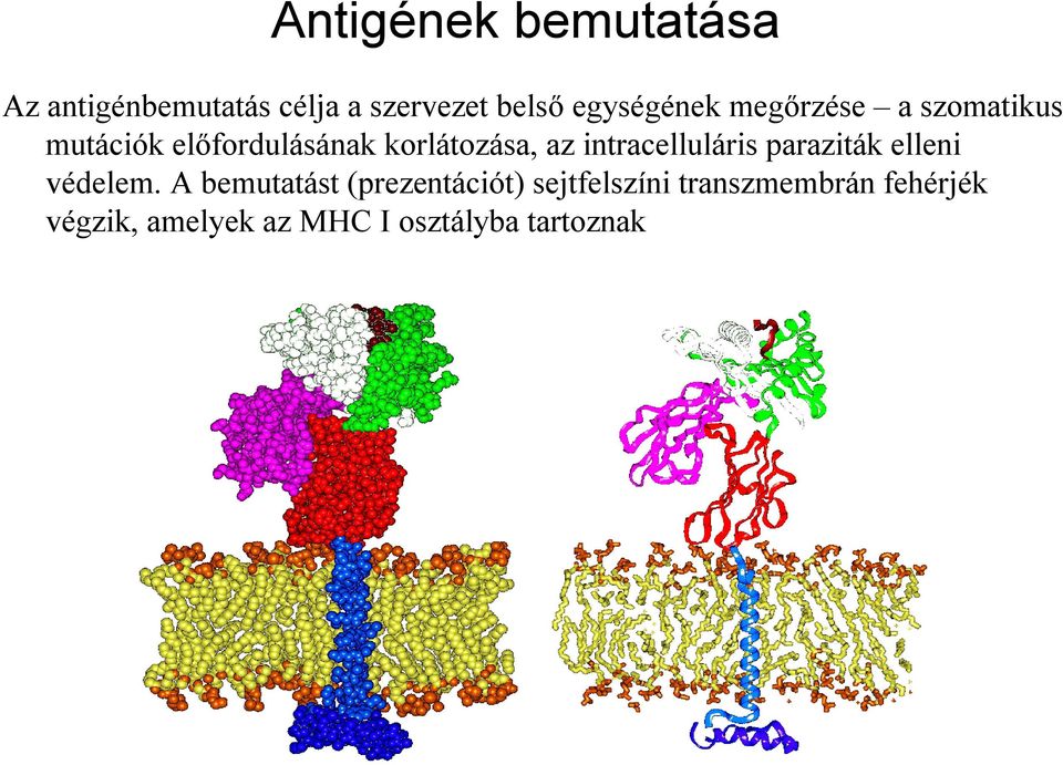 az intracelluláris paraziták elleni védelem.