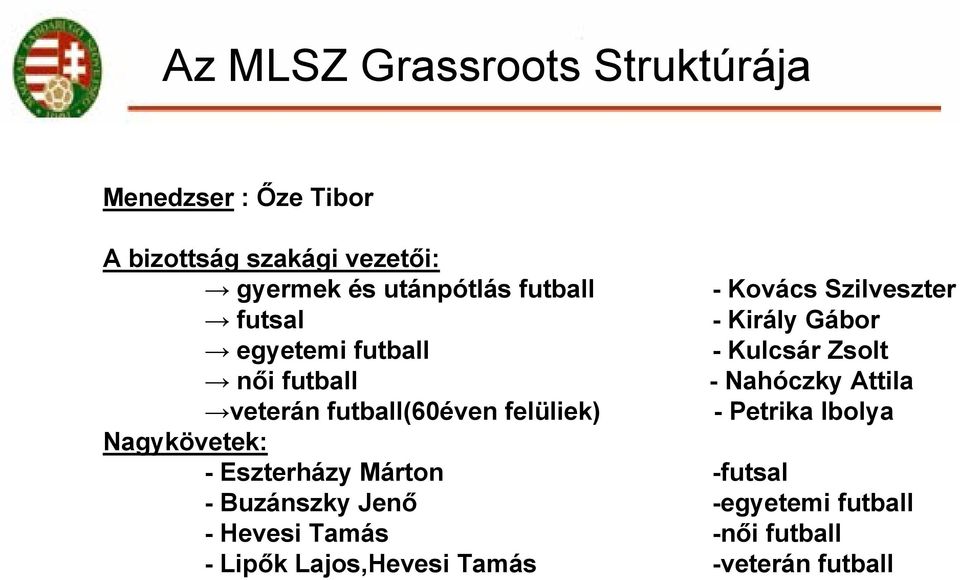 Nahóczky Attila veterán futball(60éven felüliek) - Petrika Ibolya Nagykövetek: - Eszterházy Márton