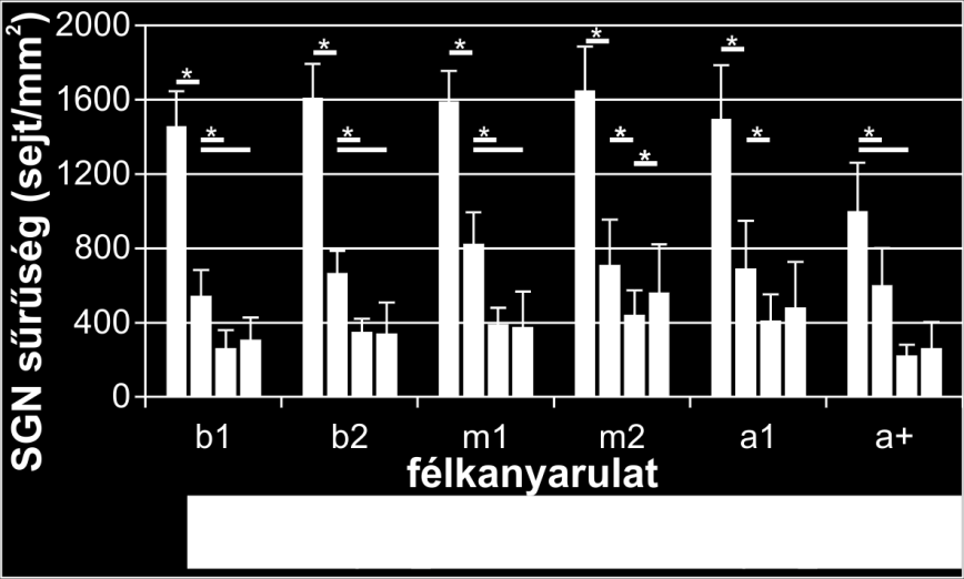 37. ábra. Spirális ganglionsejt értékek normál hallású, illetve süket, 5, 14, 26 héttel a halláskárosítást követően leölt állatokban külön feltüntetve az egyes félkanyarulatokat.