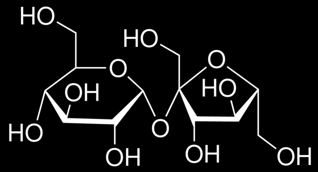 Lactobacillus jensenii Pediococcus acidilactici Pediococcus pentosaceus