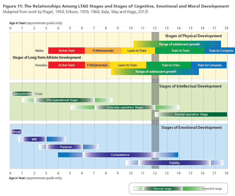 Kapcsolat az LTAD, a fizikai, a kognitív és érzelmi fejlődés szakaszai között Életkor években A fizikai fejlődés szakaszai A serdülőkori növekedés időszaka Fiúk Hosszú-távú sportolófejlesztés (LTAD)