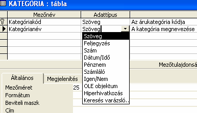 4.1 Táblák létrehozása ADATBÁZIS ablakban a TÁBLÁK objektum a következı lehetıségeket kínálja: (bal oldali ábra) Válasszuk A TÁBLÁK objektum ÚJ ikont!