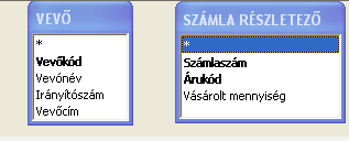 Válasszuk ki a mezınév oszlopból (második oszlop) az Áru egységára mezıt. (Vagy kétszer kattintunk a mezı névre vagy a <Beillesztés> gombra kattintunk.) Megjelenik: [Áru]!