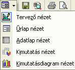 : www.pszfsalgo.hu, : radigyorgy@gmail.com, : 30/644-5111 MS-ACCESS XP Majd eldönthetjük, hogy milyen legyen az őrlap stílusa. Megadhatjuk az őrlap címét.