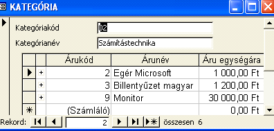 : www.pszfsalgo.hu, : radigyorgy@gmail.com, : 30/644-5111 MS-ACCESS XP Nyilván csak az IRÁNYÍTÓSZÁM táblában lévı adatok közül választhatunk, új számot nem tunk meg a listában.