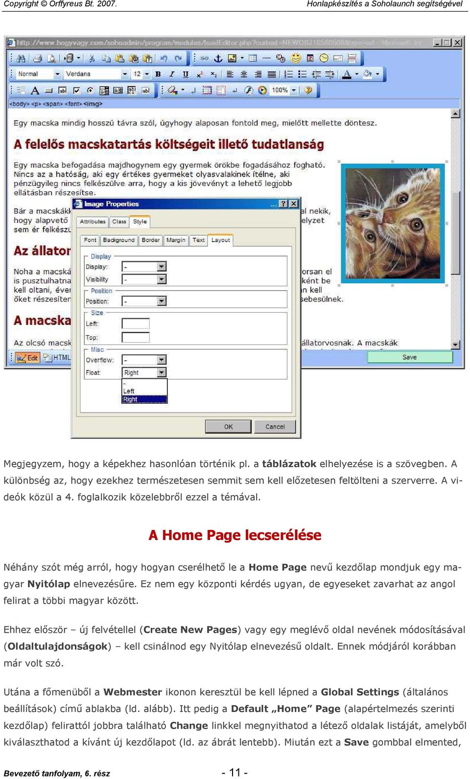 A Home Page lecserélése Néhány szót még arról, hogy hogyan cserélhető le a Home Page nevű kezdőlap mondjuk egy magyar Nyitólap elnevezésűre.
