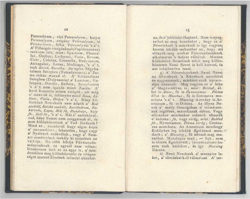 tsak Borsó, Borsóka. Az egész Négyha-. talmos Seregben (Tetradynatrtia) a' 7orwi«ritkáa marad el. A' Kéthatalmas Seregben (Didynamia) a'lamium, Galeopsis, Stachis, Ballota, Sciop!.>uaria! s a' t.