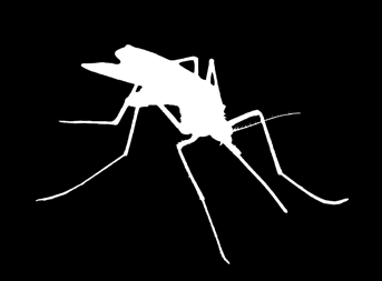 Vizi Zsuzsanna Lyme-borreliosis, ehrlichiosis és anaplasmosis kutyákban (klinikum, diagnosztika, gyógykezelés, esetbemutatók) 2016. november 21. (hétfő) 20.00 21.30 Előadó: Dr.