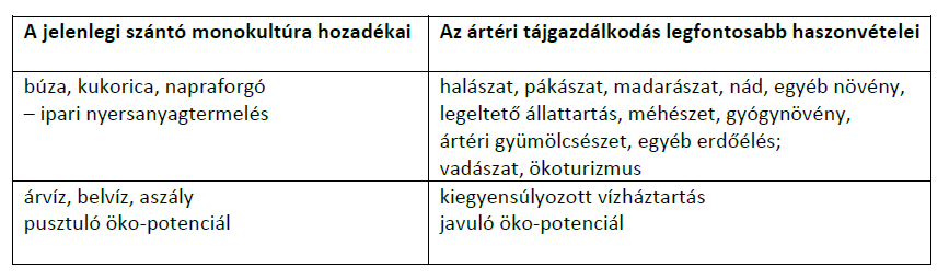 Ehhez képest a kistérségi területfejlesztési koncepciókban néhány éve a legfontosabb prioritás a külföldi működő tőke minél jobban való bevonzása volt. Mint cél. Nem mint eszköz, hanem mint cél!