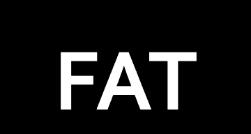 A FAT rendszer korábbi változatai, a (FAT12 és FAT16) esetében a fájlnevek hossza korátozott, létezik egy korlát a