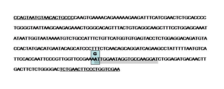 Allél specifikus amplifikáció A glukokortikoid receptor