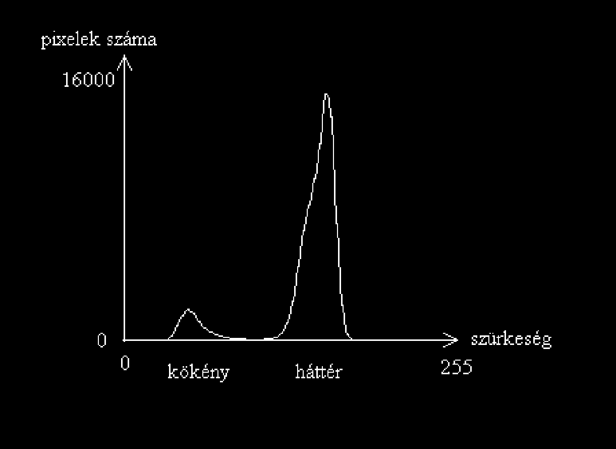 Optikai méret meghatározás Szegmentáció: a hisztogram alapján elkülönítjük a kökényhez