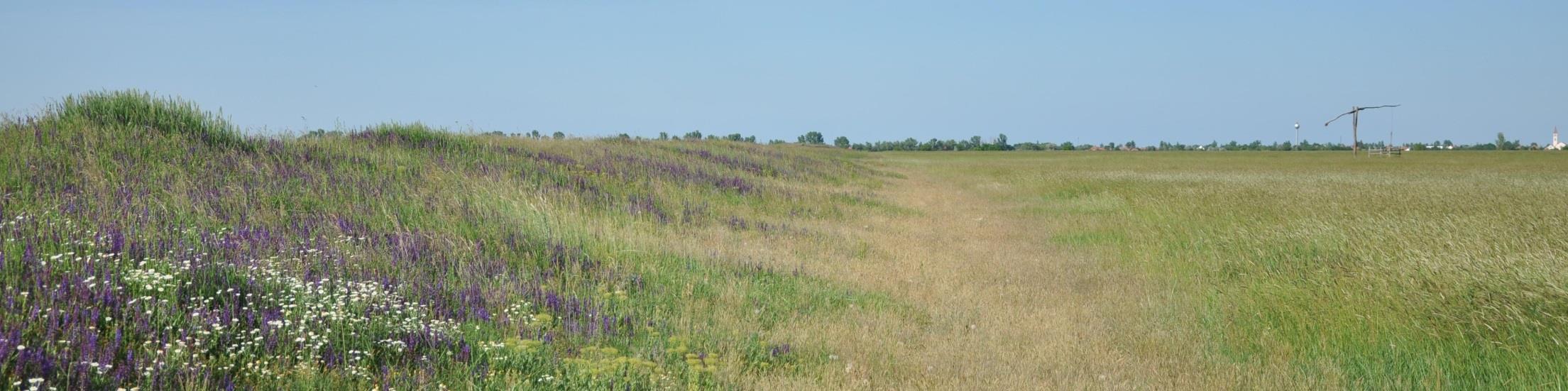 Körös-Maros Nemzeti Park (1997) Főbb adatok A nemzeti park mellett az igazgatóság felügyel 4 természetvédelmi területet és 39 Natura 2000 területet.