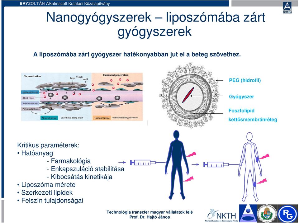 PEG (hidrofil) Gyógyszer Foszfolipid kettősmembránréteg Kritikus paraméterek: