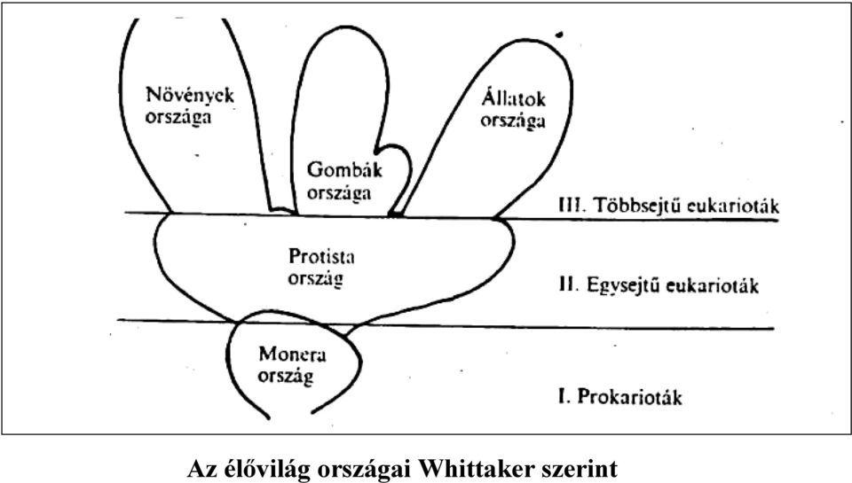 országai