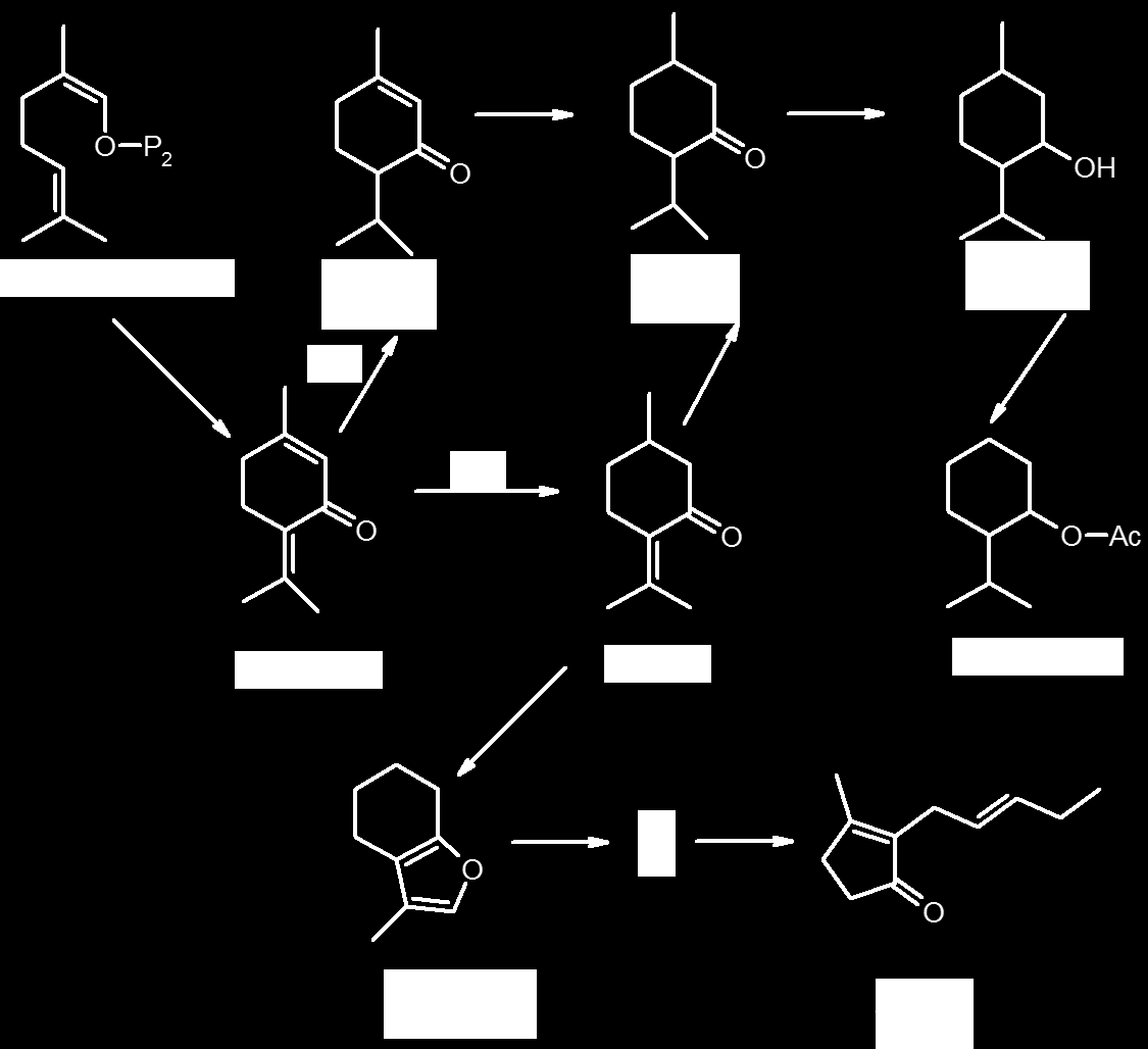 Menthae piperitae folium borsmentalevél Tartalmaz : - illóolajat (1-2%) - cserzőanyagot (6-10%) -