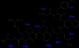 Presszoraminok