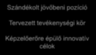 Mit tartalmaz/milyen egy jó vízió? Szándékolt jövőbeni pozíció Tervezett tevékenységi kör Képzelőerőre épülő innovatív célok Mi a célunk?