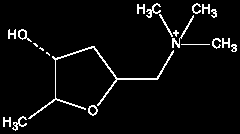 tünetek (szűk pupilla, hányás-hasmenés, izzadás, nyálfolyás, bradycardia, lassú