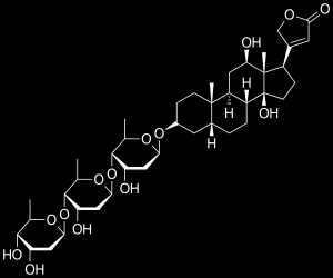 Növényi hatóanyagok Alkaloidok: idegrendszerre ható legfontosabb vegyületcsoport, vízben nem oldódó, bázikus természetű, nitrogéntartalmú, gyűrűs szerves vegy., ált.