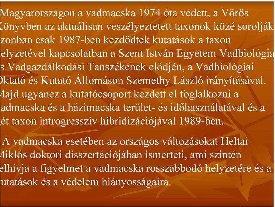 ajd ugyanez a kutatócsoport kezdett el foglalkozni a admacska és a házimacska terület- és időhasználatával és a ét taxon introgresszív hibridizációjával 1989-ben.