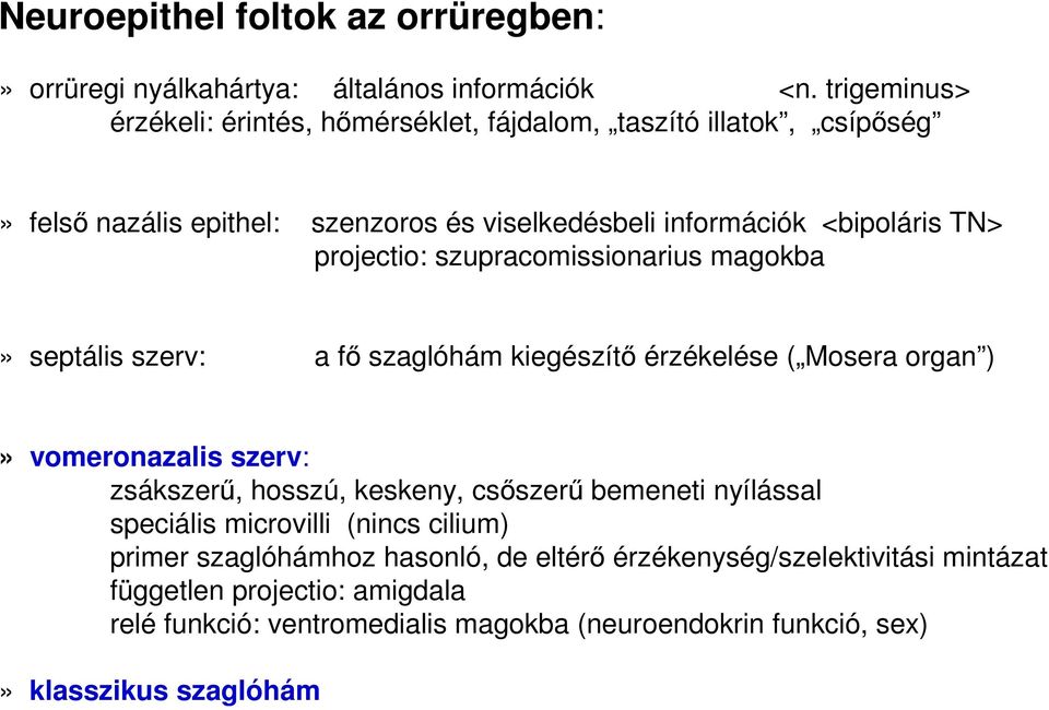 projectio: szupracomissionarius magokba» septális szerv: a fı szaglóhám kiegészítı érzékelése ( Mosera organ )» vomeronazalis szerv: zsákszerő, hosszú, keskeny,