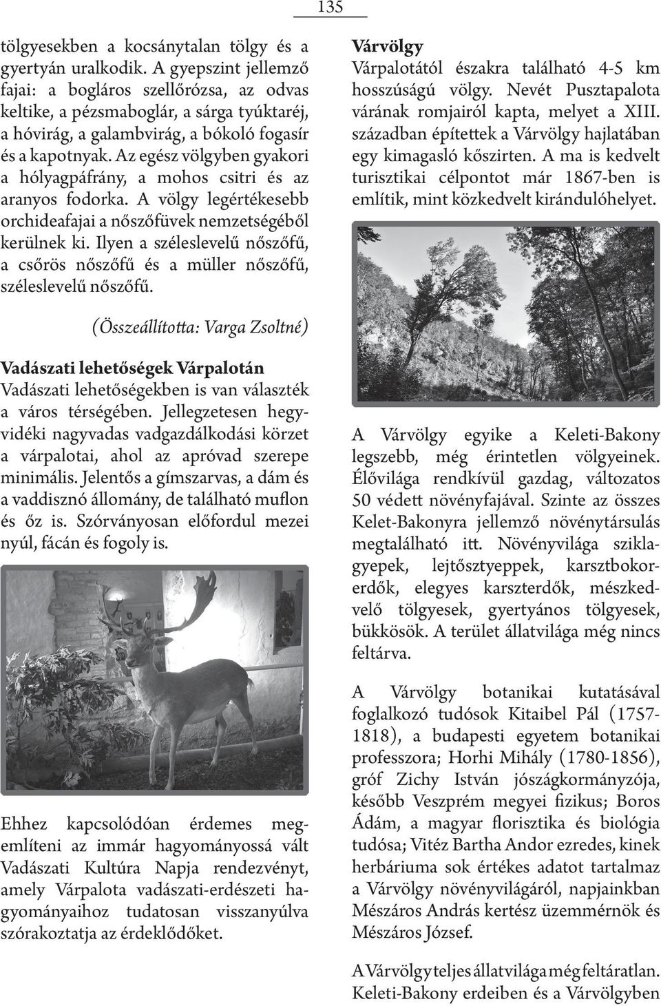 Az egész völgyben gyakori a hólyagpáfrány, a mohos csitri és az aranyos fodorka. A völgy legértékesebb orchideafajai a nőszőfüvek nemzetségéből kerülnek ki.