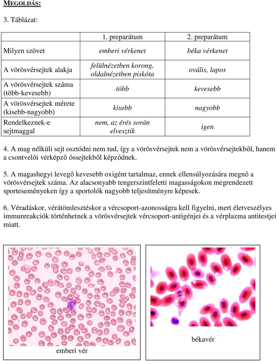 korong, oldalnézetben piskóta több kisebb nem, az érés során elvesztik ovális, lapos kevesebb nagyobb igen 4.