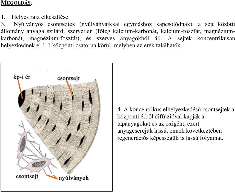 kalcium-foszfát, magnéziumkarbonát, magnézium-foszfát), és szerves anyagokból áll.