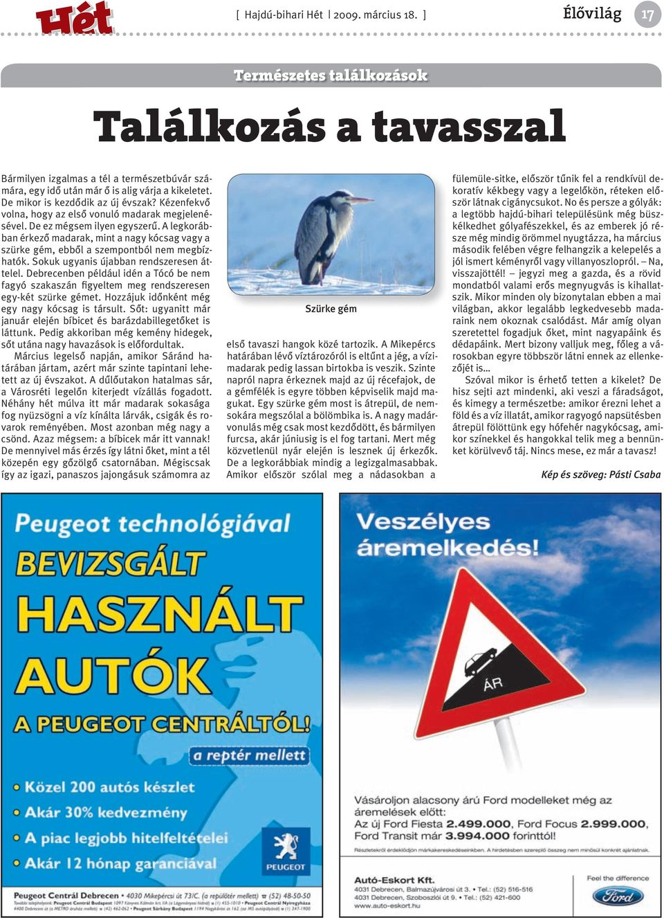 A legkorábban érkező madarak, mint a nagy kócsag vagy a szürke gém, ebből a szempontból nem megbízhatók. Sokuk ugyanis újabban rendszeresen áttelel.